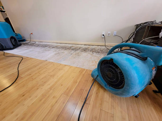 Professional Flood Damage Cleanup technician working in Blacksville, WV